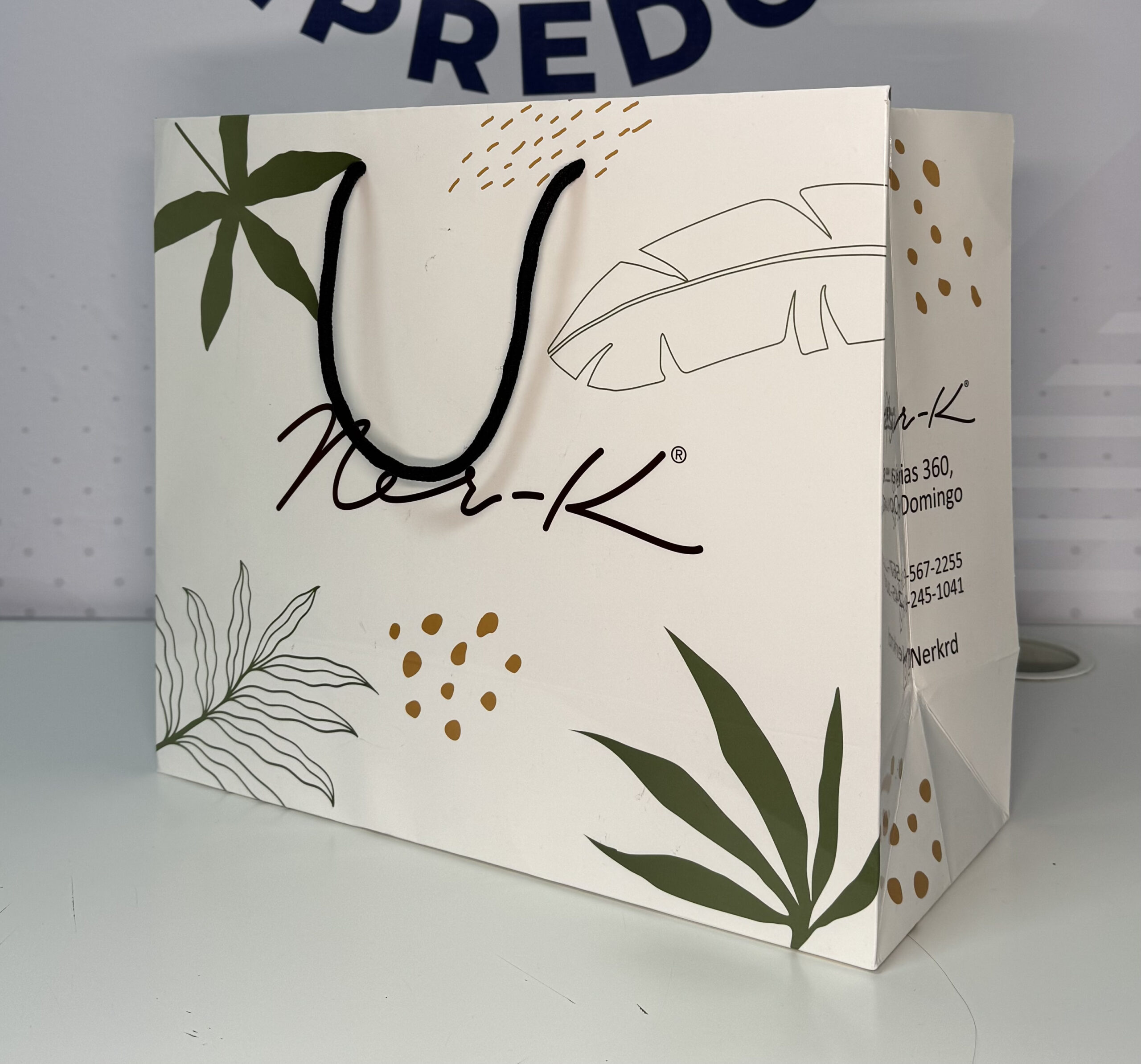 Shopping bag Grande 14 ″x 12 ″x 6″